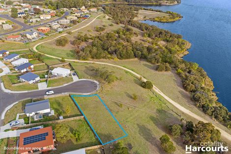 Property photo of 41 Lamprill Circle Herdsmans Cove TAS 7030