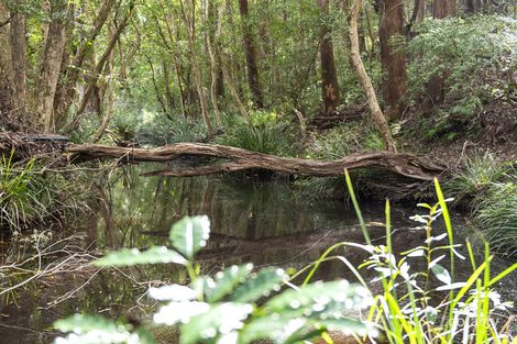 25 Forbes Cl, Bonville, NSW 2450