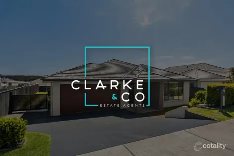 Property photo of 23 Pinchtail Street Chisholm NSW 2322