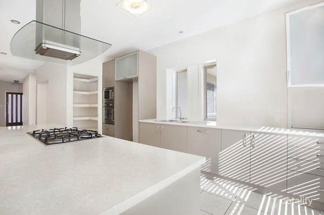 Property photo of 41 Raynbird Place Carseldine QLD 4034