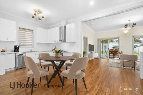 Property photo of 53 Taylor Street Lakemba NSW 2195