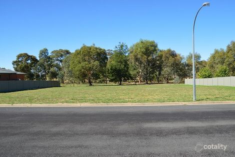 41 Harold Conkey Ave, Cootamundra, NSW 2590
