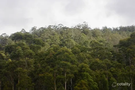 Property photo of 420 Springhill Bottom Road Colebrook TAS 7027