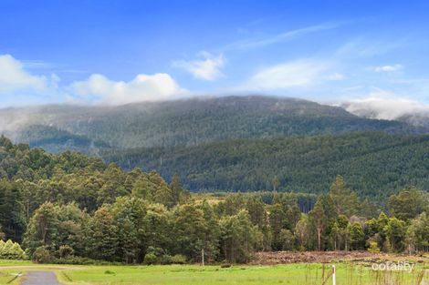 Property photo of 38 Kallista Road Maydena TAS 7140