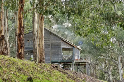 81 Gears Hill Rd, Tolmie, VIC 3723