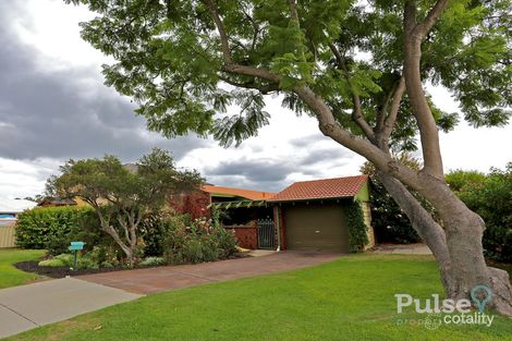 Property photo of 16 Abrolhos Close Shelley WA 6148