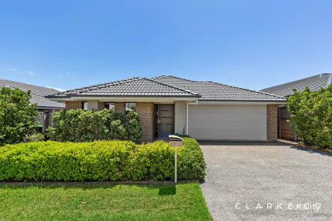 Property photo of 91 Dragonfly Drive Chisholm NSW 2322