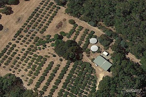 5 Zamia Gr, Yallingup, WA 6282