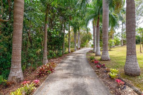 Property photo of 37 Stevens Road Julatten QLD 4871