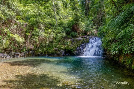 Property photo of 58 Maple Road Cow Bay QLD 4873