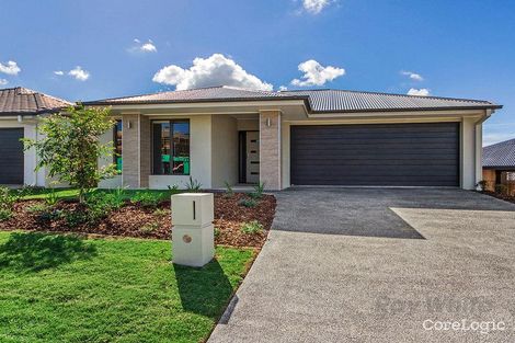 Property photo of 9 Bredbo Street Ormeau Hills QLD 4208