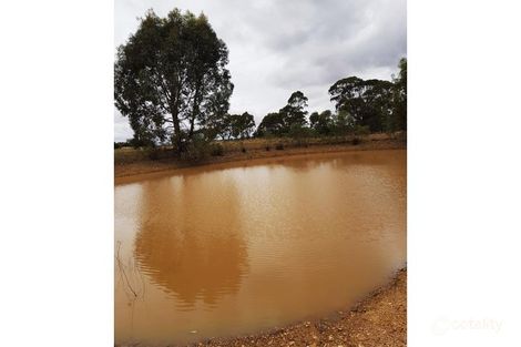 1 Waanyarra Rd, Waanyarra, VIC 3551