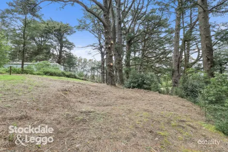 1455 Grand Ridge Rd, Trida, VIC 3953