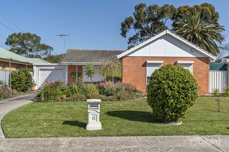 Property photo of 12 Playford Avenue Netley SA 5037