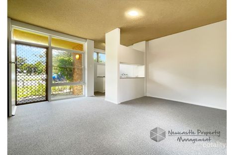 2/30 Railway Rd, New Lambton, NSW 2305
