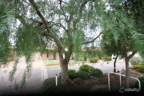 20 Peppertree Gr, Marion, SA 5043