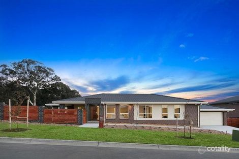 Property photo of 135 Amy Ackman Street Forde ACT 2914