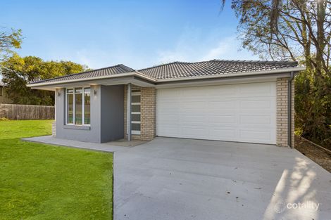 Property photo of 61 Wildey Street Raceview QLD 4305