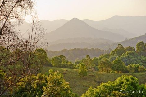 Property photo of 255 Chilcotts Road Crystal Creek NSW 2484