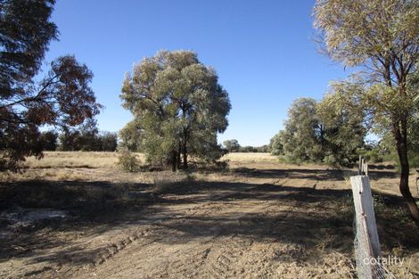 14209 Surat Developmental Rd, Tara, QLD 4421