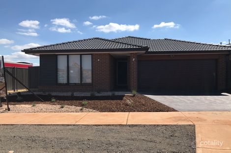 31 Ambervue Dr, Cobblebank, VIC 3338