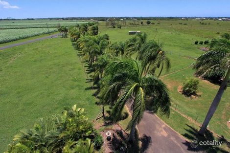 Property photo of 239 Seaview Road Bargara QLD 4670