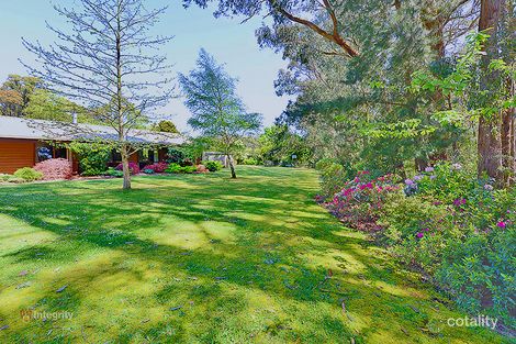 Property photo of 41 Watsons Road Kinglake West VIC 3757