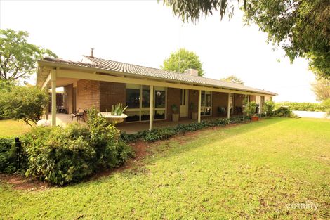 237 Rossetto Rd, Beelbangera, NSW 2680