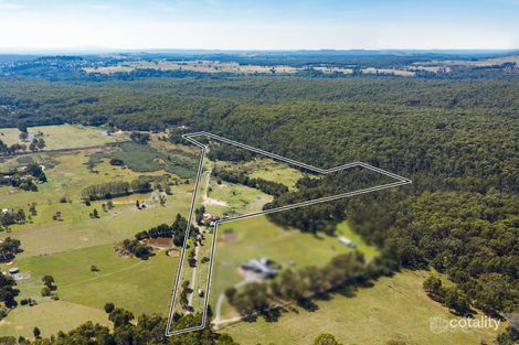 Property photo of 19 Manna Gum Road Musk Vale VIC 3461