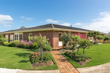Property photo of 43 Spruce Avenue Warradale SA 5046