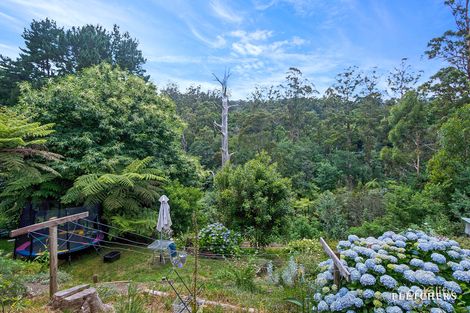 Property photo of 44 Monbulk Road Belgrave VIC 3160