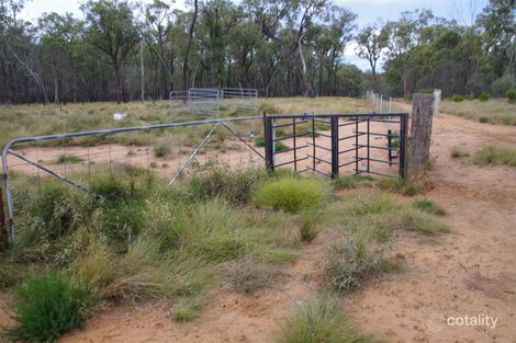 709 Tuppiari Rd, Jacks Creek, NSW 2390