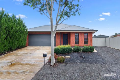 Property photo of 19 Arinya Close Ascot VIC 3551