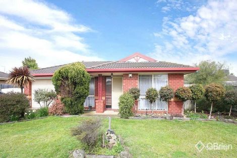 43 Sneddon Dr, Narre Warren South, VIC 3805