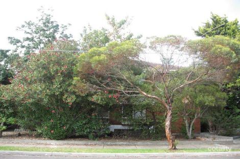 131 Harold St, Thornbury, VIC 3071