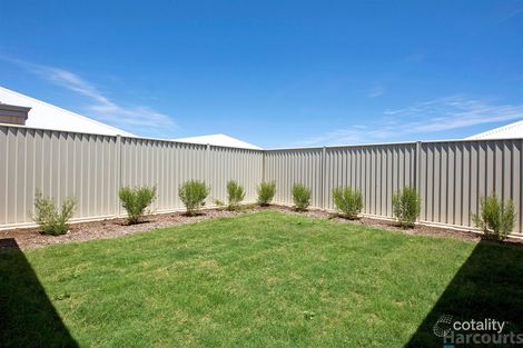 Property photo of 18 Danforth Crescent Alkimos WA 6038
