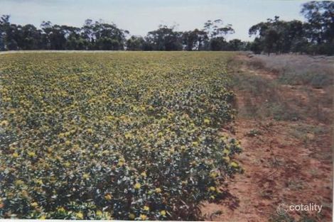 175 Days Rd, Nyngan, NSW 2825