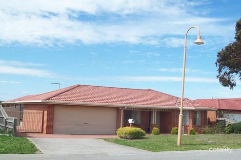 67 Tralee Cct, Narre Warren, VIC 3805