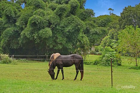 Property photo of 10 Tyalla Court Tallebudgera QLD 4228