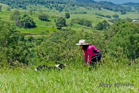 Property photo of 543 Mount Brisbane Road Mount Pleasant QLD 4521