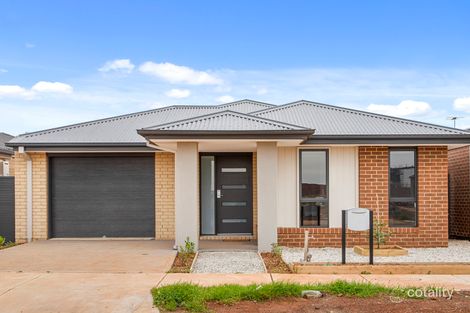 52 Adelong Bvd, Cobblebank, VIC 3338