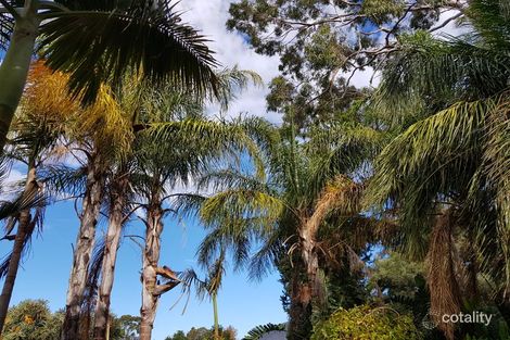 Property photo of 16 Winifred Avenue Black Forest SA 5035