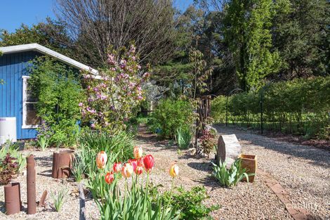Property photo of 2150 Batlow Road Laurel Hill NSW 2649