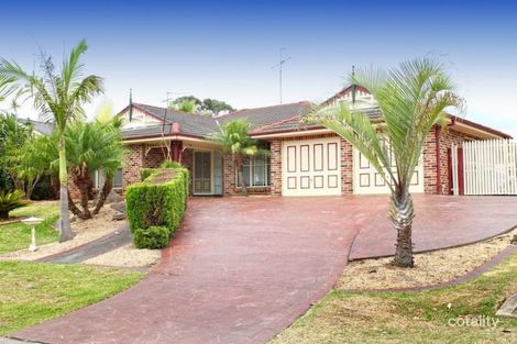 31 Plane Tree Dr, Narellan Vale, NSW 2567