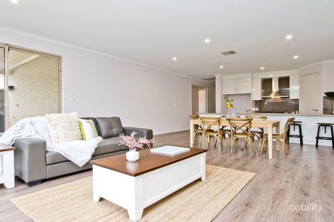 6a Cini Ave, Newton, SA 5074