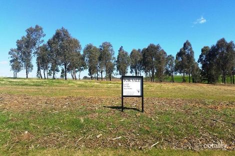 41 Paperbark Dr, Pokolbin, NSW 2320