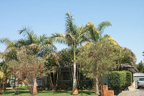 234 Dayman St, Torquay, QLD 4655