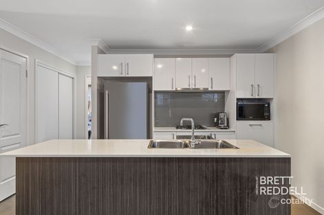 Property photo of 6 Turner Crescent Ormeau Hills QLD 4208