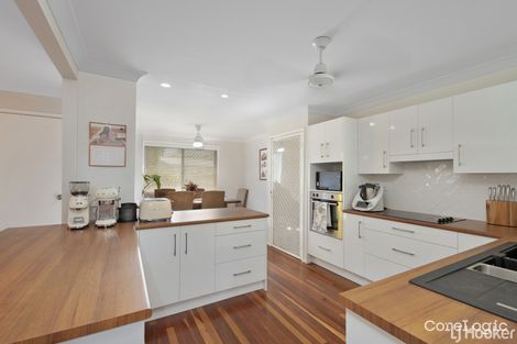 Property photo of 360 Lawrence Avenue Frenchville QLD 4701