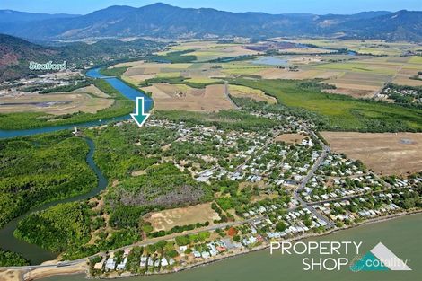 Property photo of 10 Devlex Court Machans Beach QLD 4878